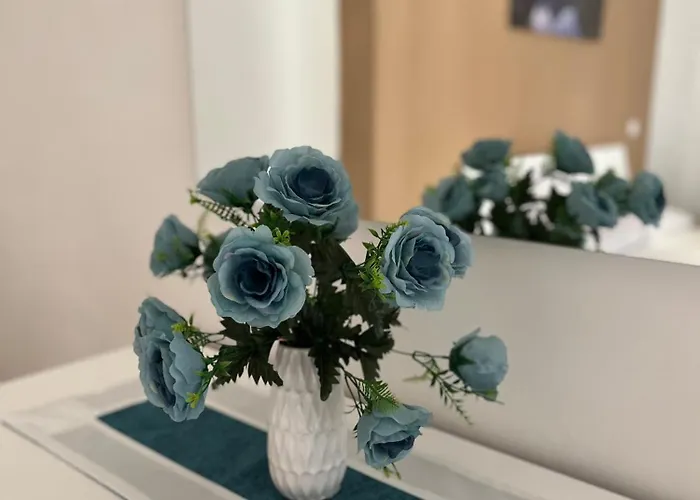 Midahome Appartement